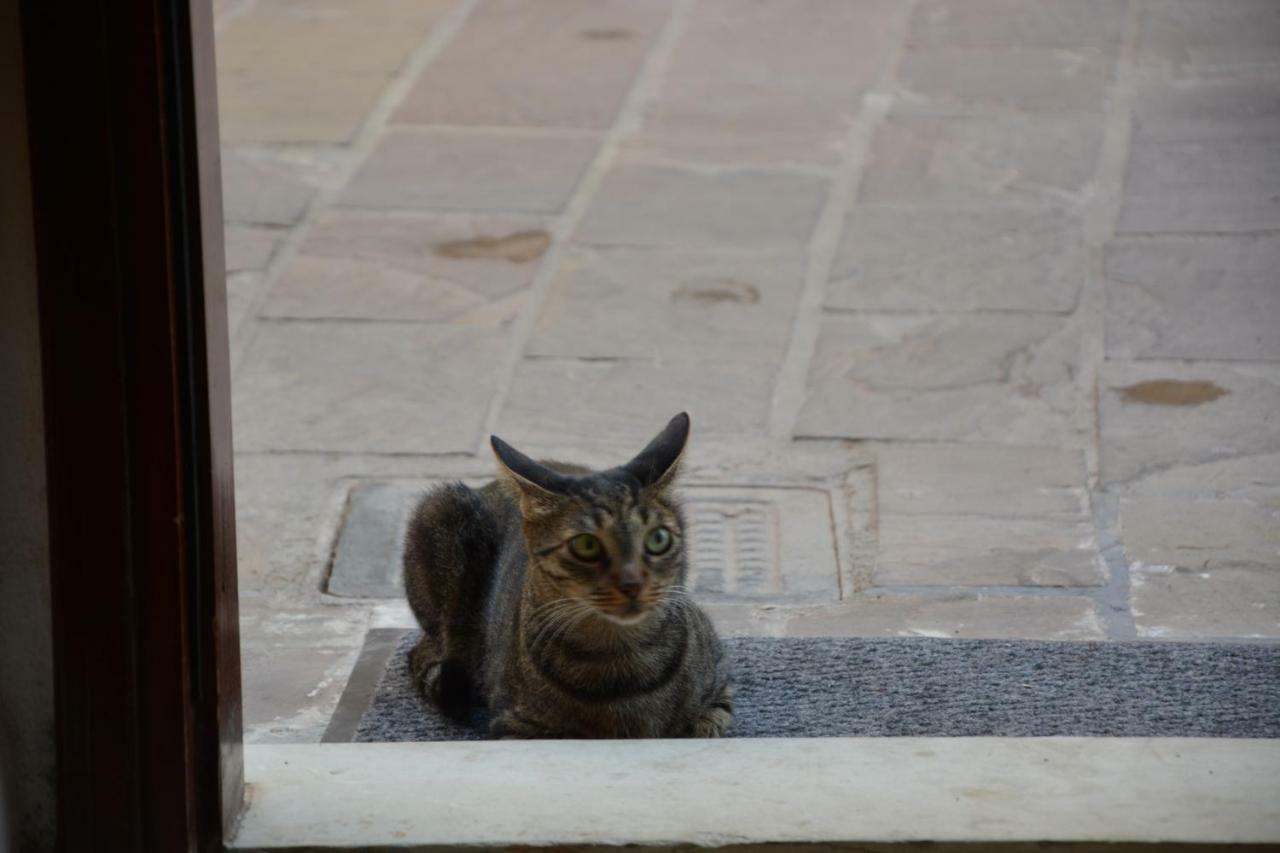 Calle Veneziana Hriszí Aktí Haniá Kültér fotó